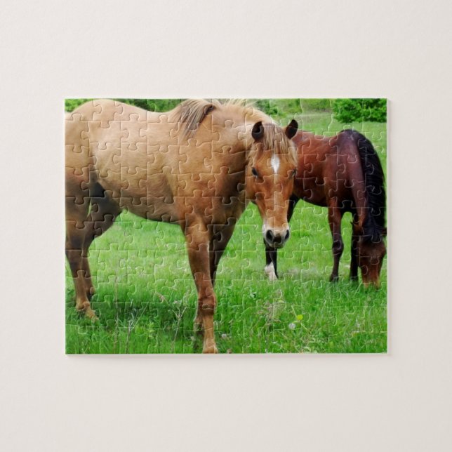 Grazing Horses Puzzle (Horizontal)
