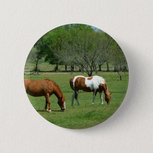 Grazing Horses Scene 6 Cm Round Badge (Front)