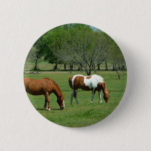 Grazing Horses Scene 6 Cm Round Badge
