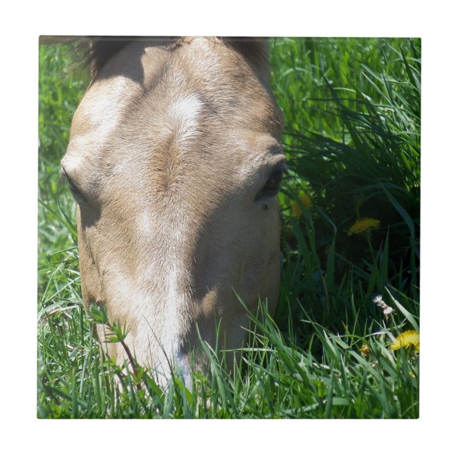 Grazing In The Grass Ceramic Tile (Front)