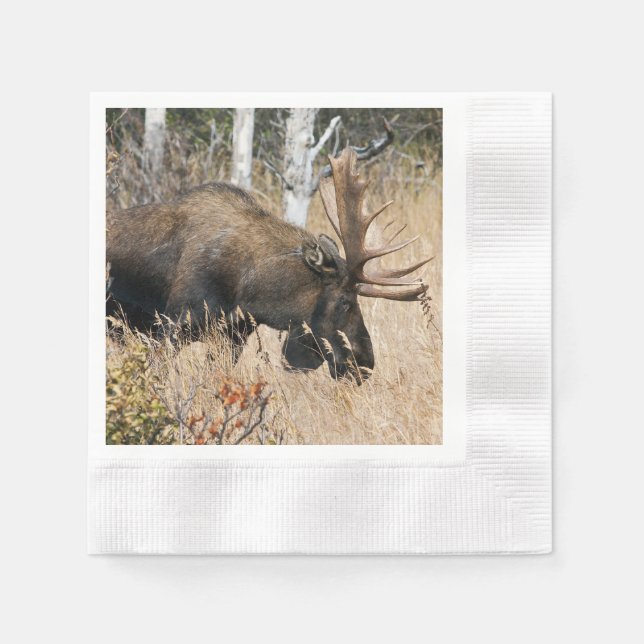 Grazing Moose Napkin (Front)