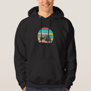 Grazing Sheep On Colourful Background Retro Sunset Hoodie