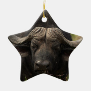 Grazing Water Buffalo Ornament