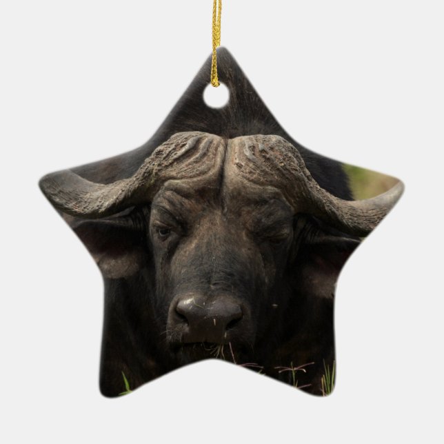 Grazing Water Buffalo Ornament (Front)