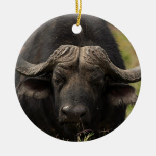 Grazing Water Buffalo Ornament