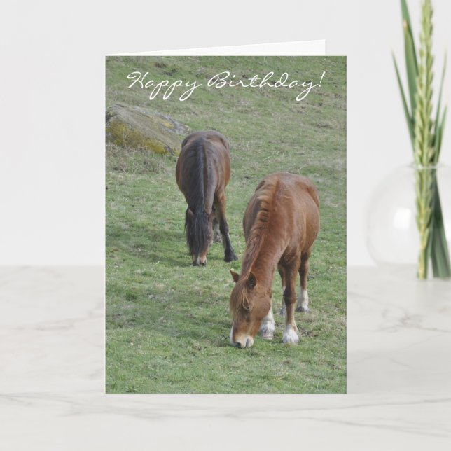 Grazing Welsh cobs birthday Card (Front)