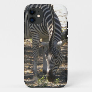Grazing Zebra iPhone 5 case