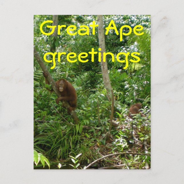 Great Ape Friends Postcard (Front)