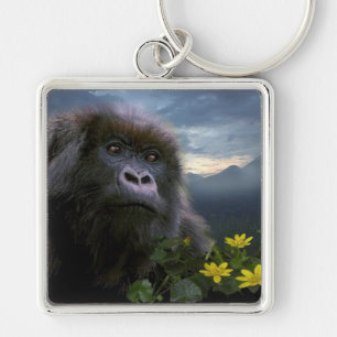 Great Apes Gorilla Primate Wildlife Keychain