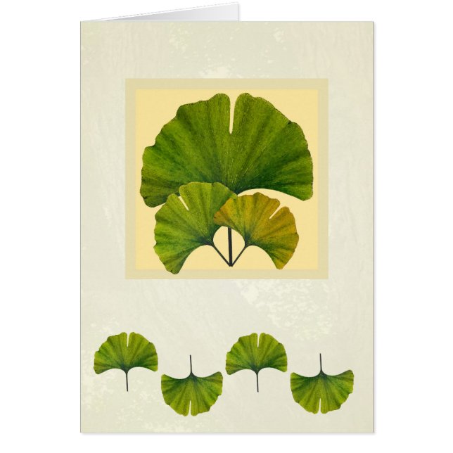 Great Arts & Crafts Ginkgo Art (Front)