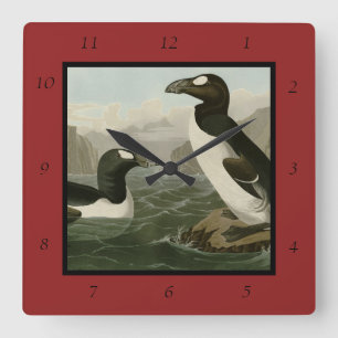 Great Auk - John James Audubon's Birds of America Square Wall Clock