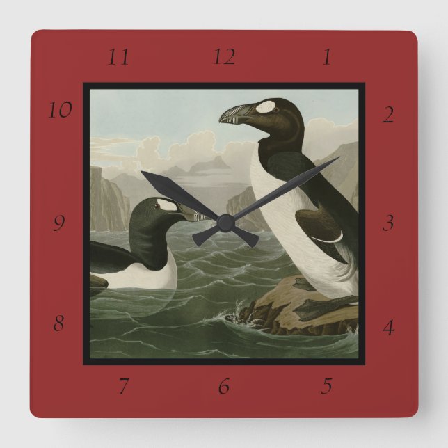 Great Auk - John James Audubon's Birds of America Square Wall Clock (Front)