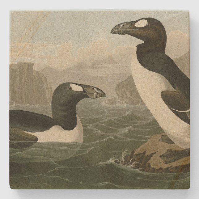 Great Auk - John James Audubon's Birds of America Stone Coaster (Front)