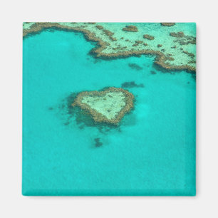 Great Barrier Reef, Australia heart coral Magnet