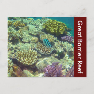 great barrier reef australia postcard