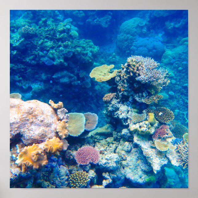 Great Barrier Reef Coral - #1 Poster (Front)