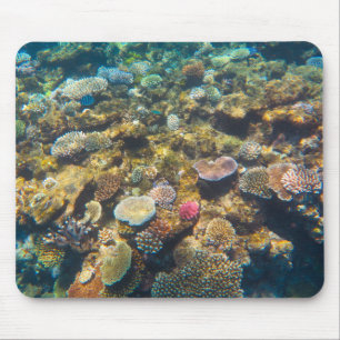 Great Barrier Reef Coral - #4 Mouse Pad