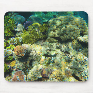 Great Barrier Reef Coral - #5 Mouse Pad