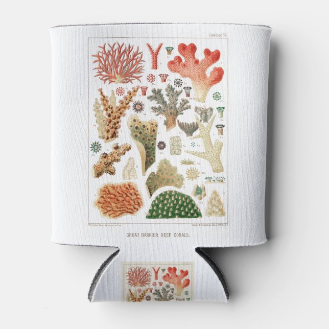 Great Barrier Reef Corals Australia Can Cooler (Front)