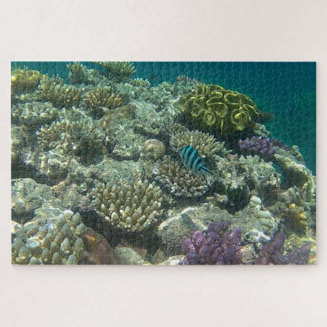 great barrier reef jigsaw puzzle (Horizontal)