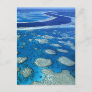 Great Barrier Reef Marine Park Queensland AU Postcard