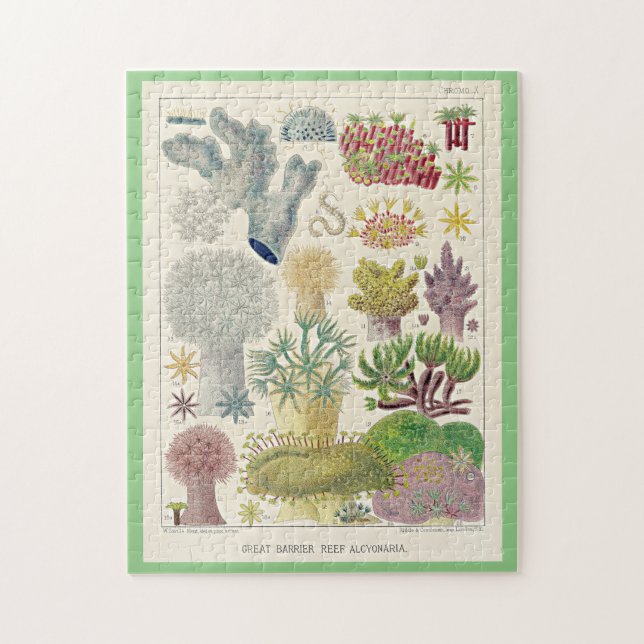 Great Barrier Reef of Australia, Alcyonaria, Jigsaw Puzzle (Vertical)