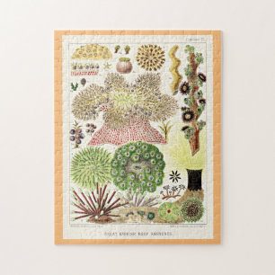Great Barrier Reef of Australia Anemones Jigsaw Puzzle