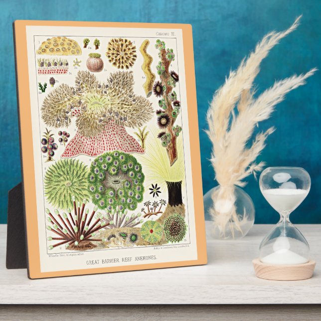 Great Barrier Reef of Australia Anemones Plaque (Side)