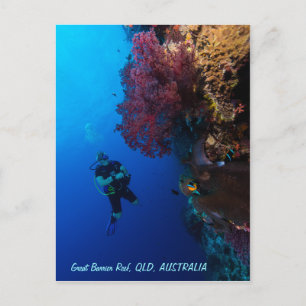 Great Barrier Reef Postcard