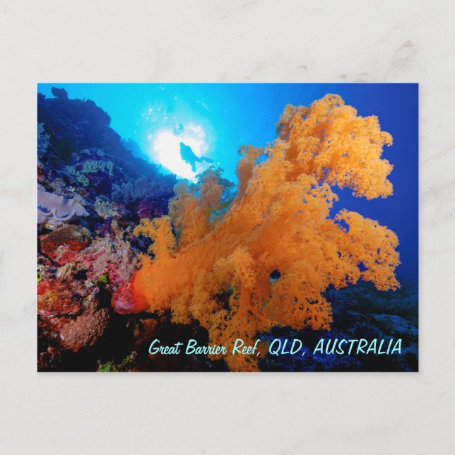 Great Barrier Reef Postcard (Front)