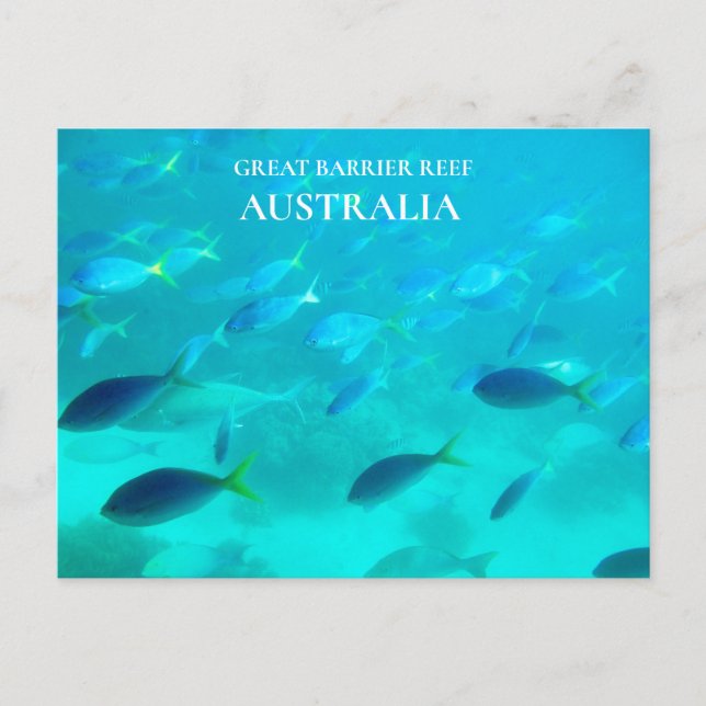 Great Barrier Reef Queensland Australian travel Postcard (Front)