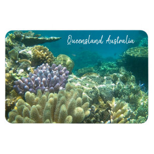great barrier reef queensland magnet