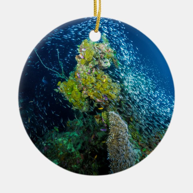 Great Barrier Reef Tropical Fish Coral Sea Ceramic Tree Decoration (Front)