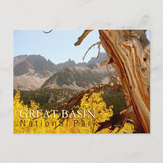 Great Basin National Park Postcard (Front)
