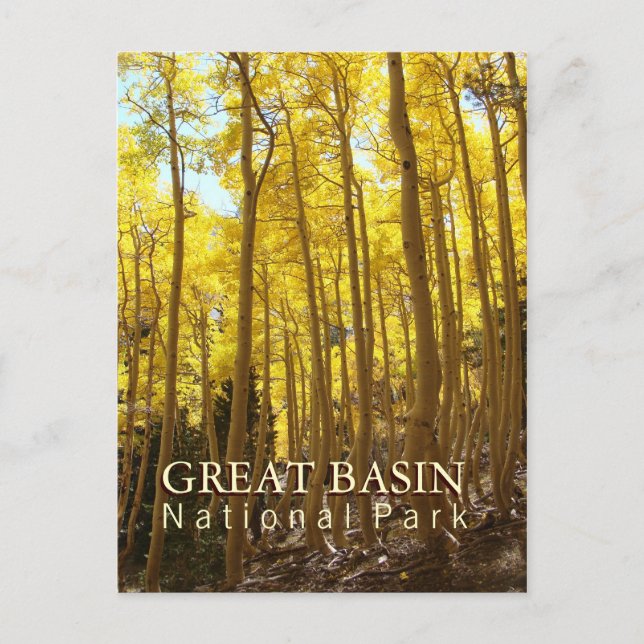 Great Basin National Park Postcard (Front)
