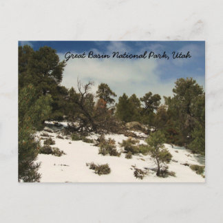 Great Basin National Park, Utah Postcard
