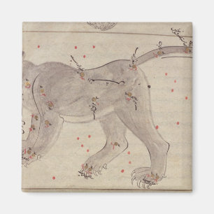 Great Bear, from Book of Stars after El Hussein Magnet