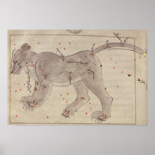 Great Bear, from Book of Stars after El Hussein Poster