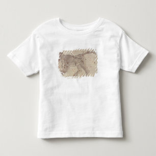 Great Bear, from Book of Stars after El Hussein Toddler T-Shirt