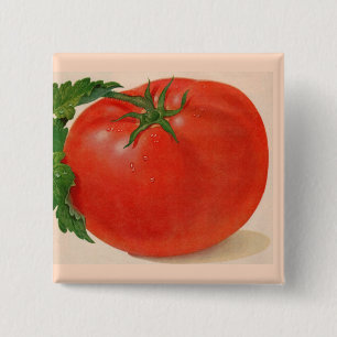 great BIG juicy tomato 15 Cm Square Badge