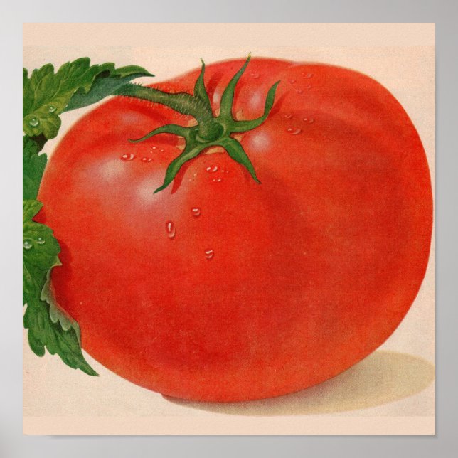 great BIG juicy tomato Poster (Front)