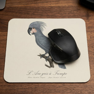 Great Black Palm Cockatoo, Probosciger aterrimus Mouse Pad