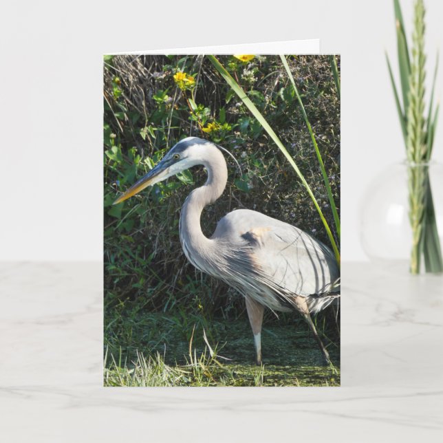"Great Blue Heron 1." Greeting Card (Front)