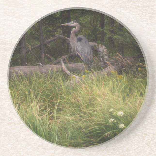 Great Blue Heron 8917 Coaster (Front)