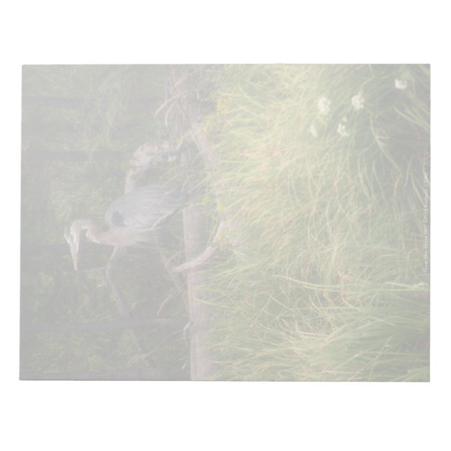 Great Blue Heron 8917 Notepad (Front)