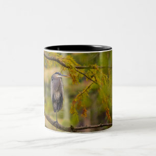 Great Blue Heron Among Fall Leaves Coffee Mug