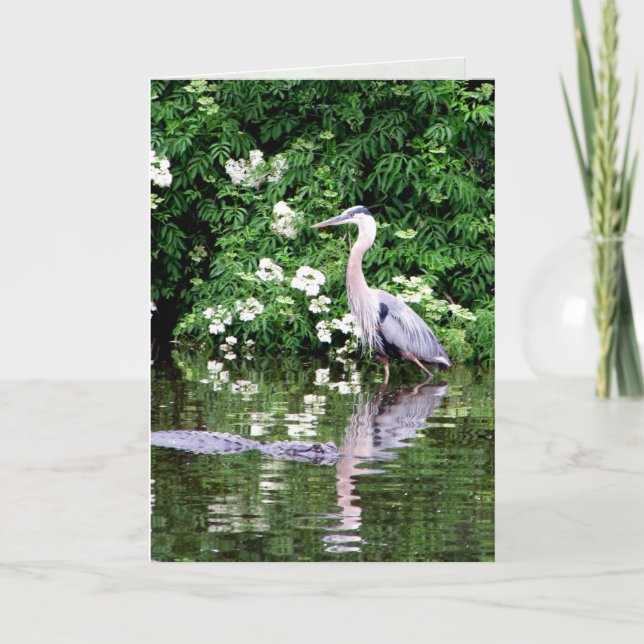 Great Blue Heron and Alligator Greeting Card (Front)