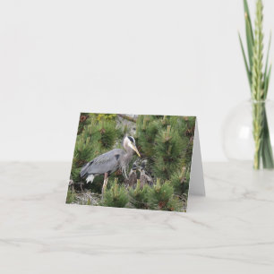 Great Blue Heron and its Babies Card