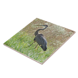 Great Blue Heron - Ardea herodias - #2 Ceramic Tile