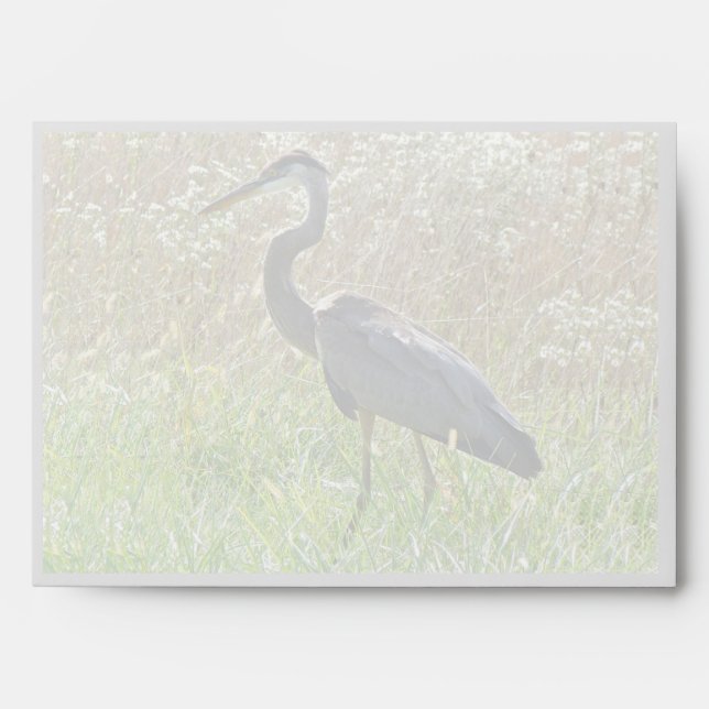 Great Blue Heron - Ardea herodias Envelope (Front)